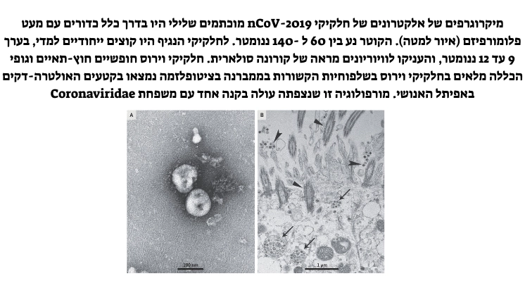 מסיכות N95, נגד מסיכה FFP3,FFP3 ומה ההבדל ביניהם